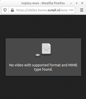 No video with supported format and MIME type found
